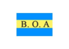 Blue Ocean Agency Logo