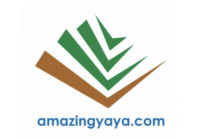 Amazing Yaya Business Services