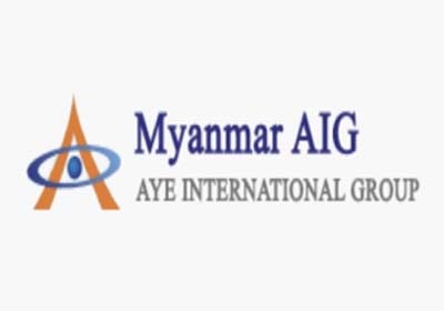 AYE INTERNATIONAL GROUP Logo